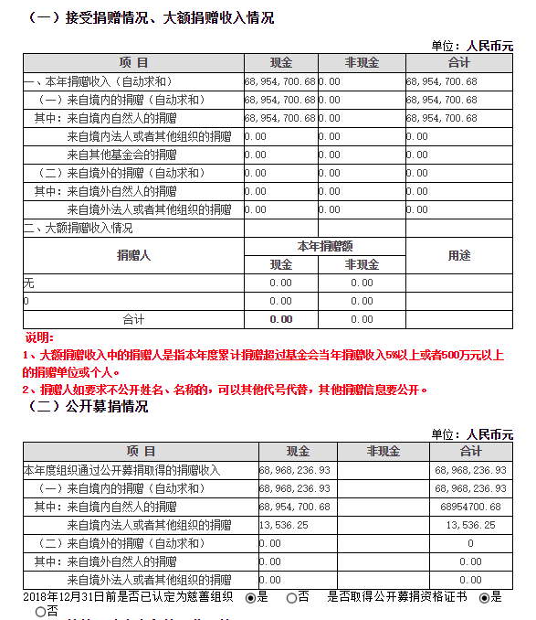 2018年泰山慈善基金会年度检查报告(图3)