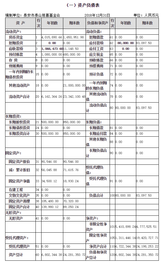 2018年泰山慈善基金会年度检查报告(图17)