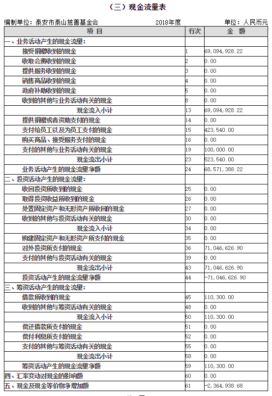 2018年泰山慈善基金会年度检查报告(图19)