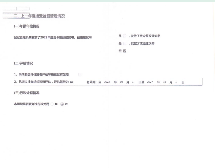 泰山慈善基金会2024年年报(图3)