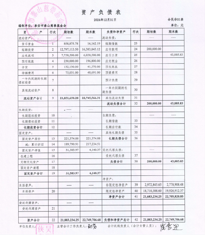 泰山慈善基金会2024年审计报告(图4)