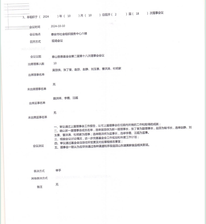 泰山慈善基金会2024年年报(图6)