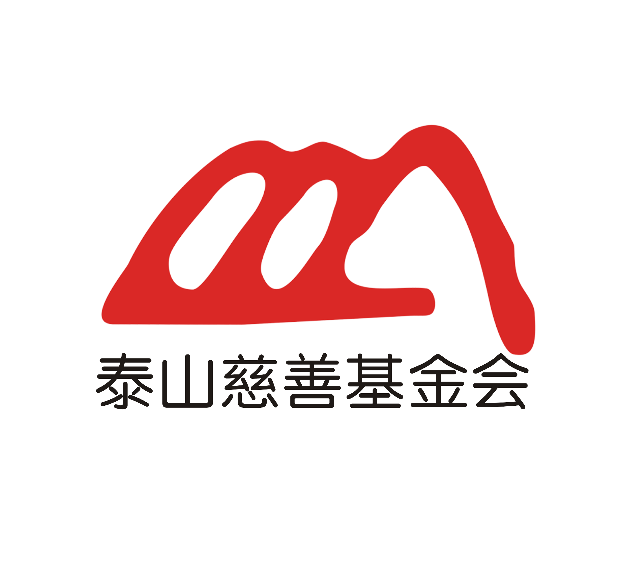 泰山慈善基金会2020年工作报告