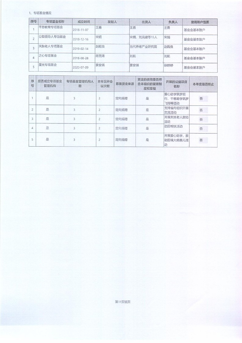 泰山慈善基金会2025年年报(图13)