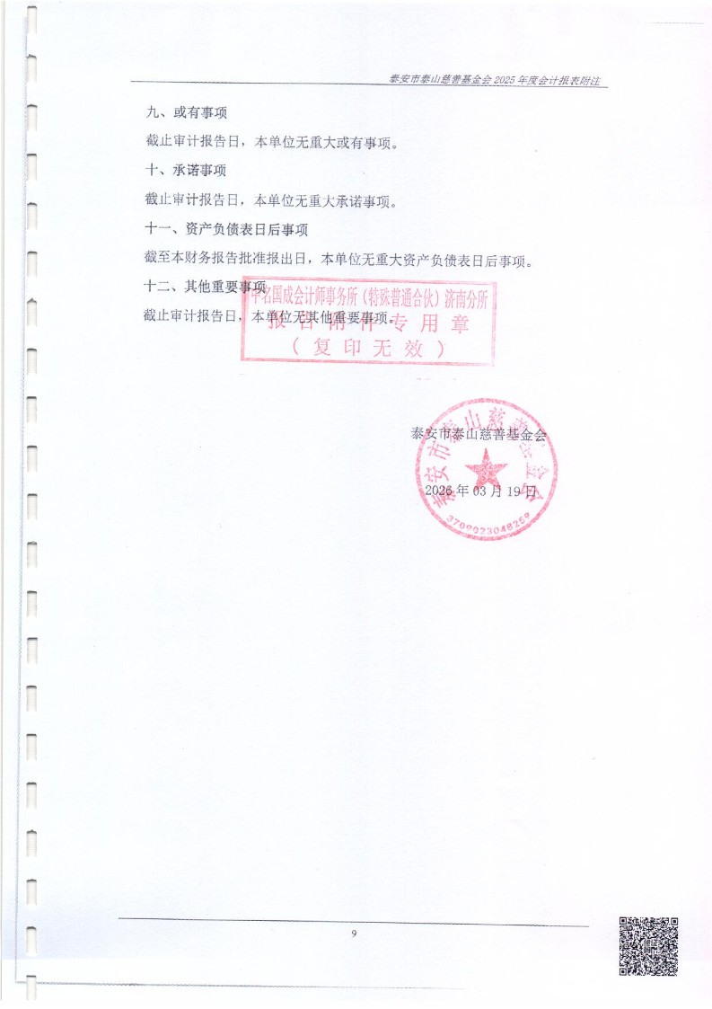 泰山慈善基金会2025年审计报告(图18)