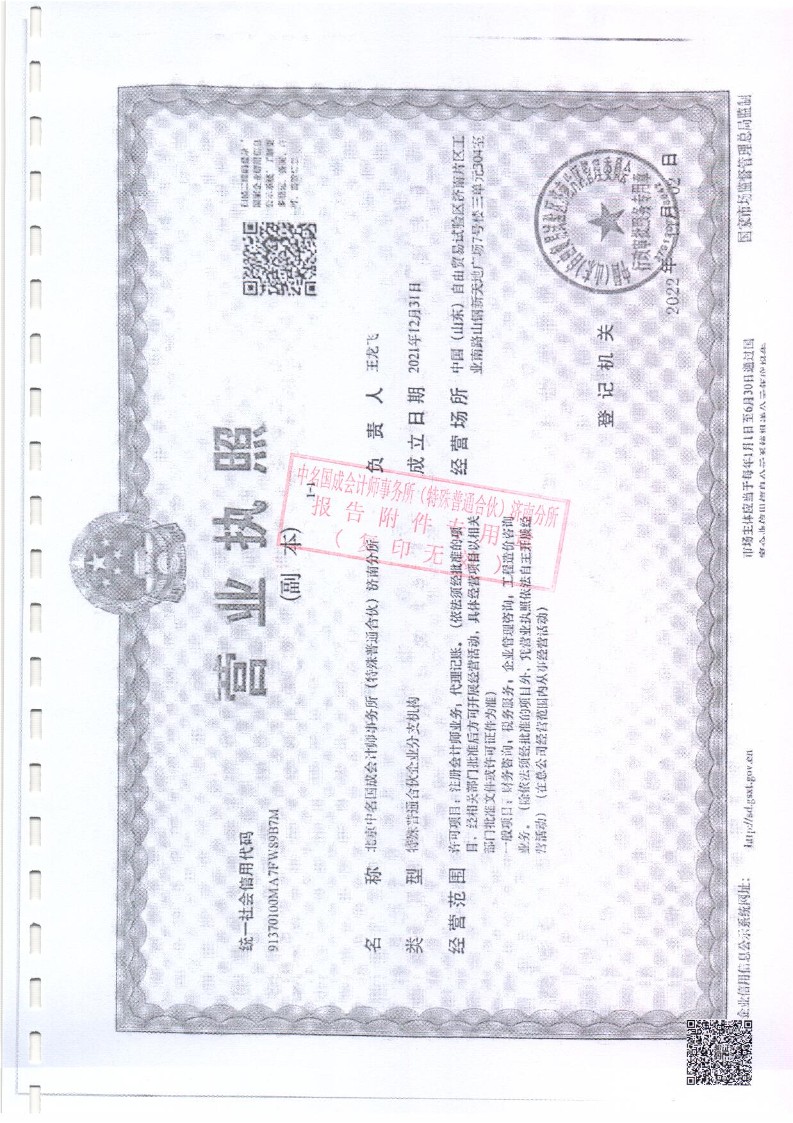 泰山慈善基金会2025年审计报告(图19)