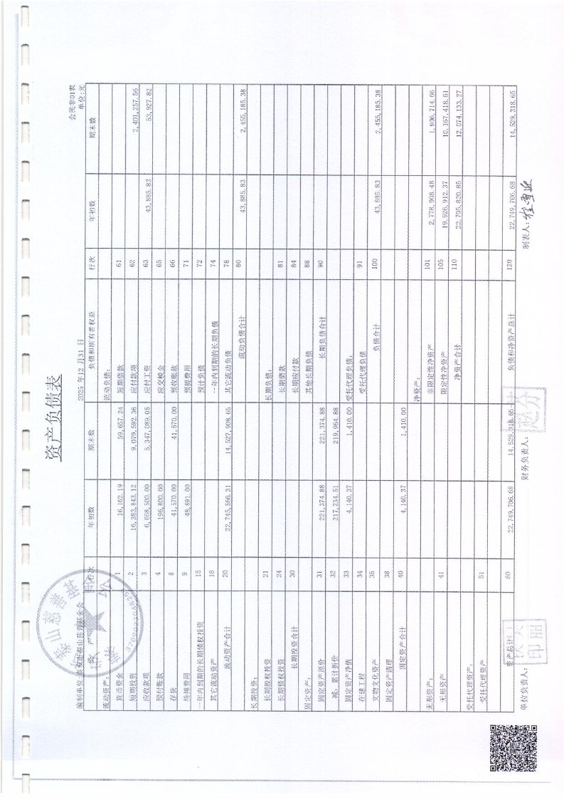 泰山慈善基金会2025年审计报告(图6)