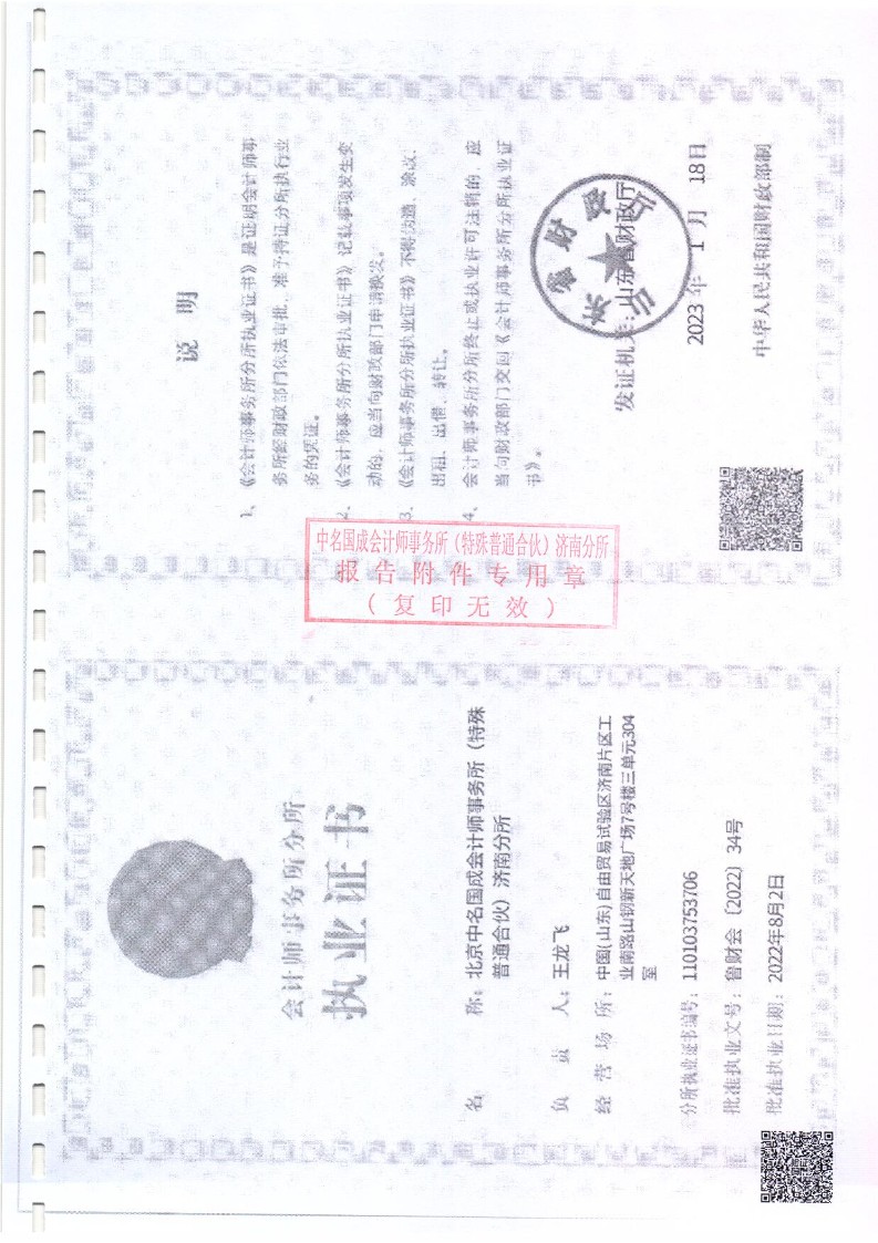 泰山慈善基金会2025年审计报告(图20)