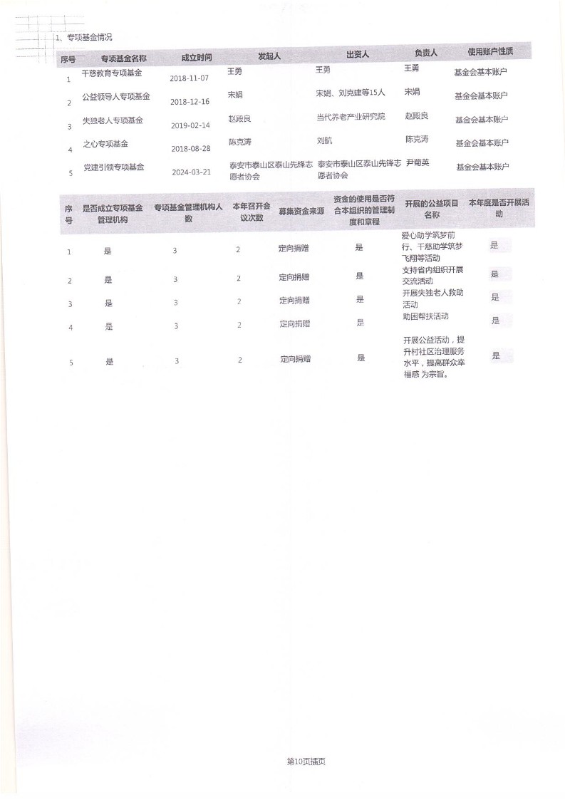 泰山慈善基金会2024年工作报告(图13)